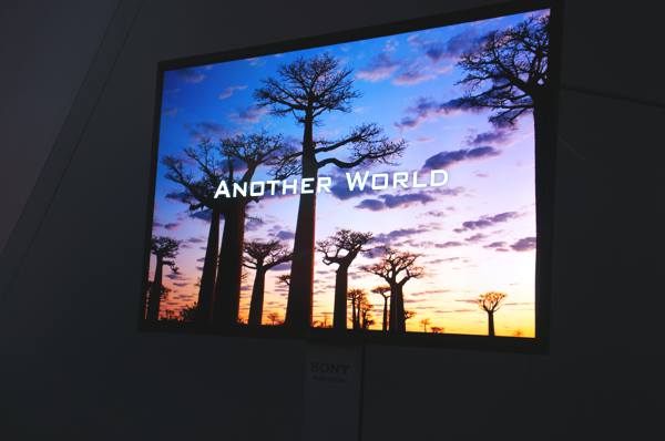 Sony 4K OLED