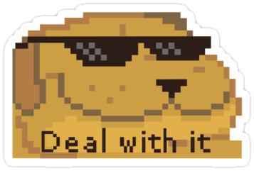 Deal With It