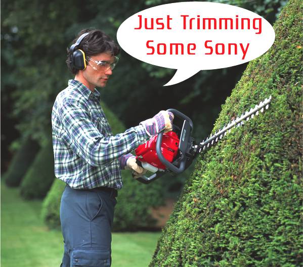 Trimming_Sony