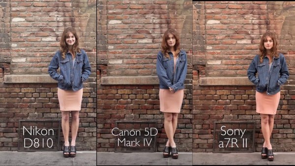 camera-comparison-nikon-d810-canon-5d-mark-iv-sony-a7r-ii